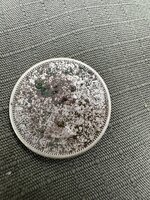 IMG_2854.jpeg