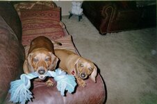 IMG006.JPG