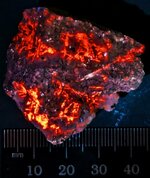 Nosean with sanadine, East Eifel Volcanic Field, Rhenish Massif, Rhineland-Palatinate State, W...jpg