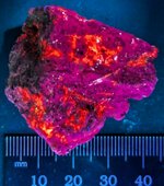 Nosean with sanadine, East Eifel Volcanic Field, Rhenish Massif, Rhineland-Palatinate State, W...jpg