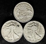 Not CRH 10 29 2024 2 Walkers & 1 Australian Florin.jpg