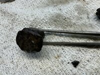 IMG_0285.jpeg