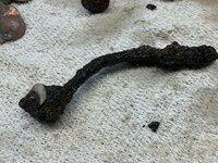 IMG_0291.jpeg