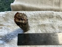 IMG_0335.jpeg