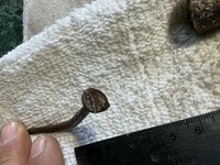 IMG_0333.jpeg