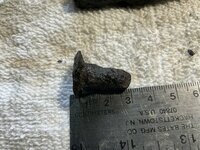 IMG_0341.jpeg