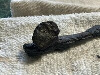 IMG_0340.jpeg