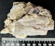 Kunzite, Kunar Province, Afghanistan, natural light.jpg