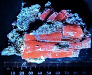 Kunzite, Kunar Province, Afghanistan, LW 365nm.jpg