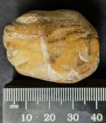 Chert pebble from Lake Michigan shoreline at Fox Point, Milwalkee Co., Wisconsin, natural light.jpg