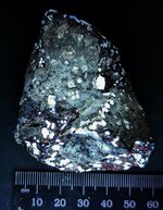 Scheelite ore, east of Tucson, in Cochise Co., AZ, MW 310nm.jpg