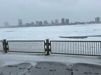 IMG_1642.jpg