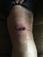 IMG_0313.JPG