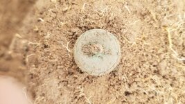 Military button | Friendly Metal Detecting Forum