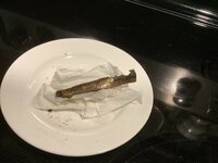 IMG_0029.jpeg