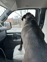 IMG_8069.jpeg
