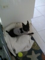 IMG_0042.jpg