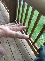 IMG_20220915_181114445.jpg