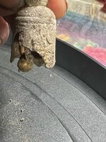 IMG_1846.jpg IMG_1846.jpg