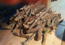 Smaller wood from the brush pile 05 03 2025.jpg