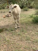 IMG_0694.jpeg