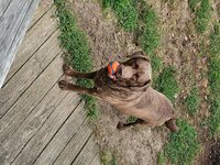 20241005_102537 - Copy.jpg