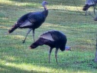 20231006_092312 - Copy.jpg