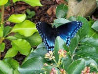 20220713_175401 - Copy.jpg