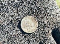 IMG_3714.jpeg