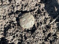 IMG_3720.jpeg