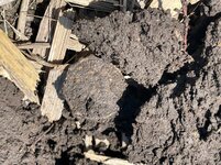 IMG_3726.jpeg