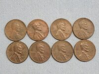 Assorted Wheats 01.jpg
