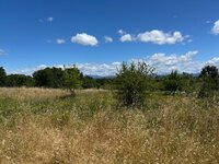 IMG_6249.jpeg