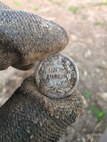 20260601_194211.jpg