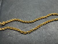 IMG_1569.jpeg