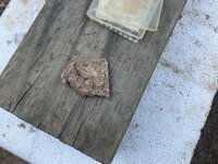 IMG_0883.jpeg
