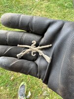 IMG_7345.jpeg