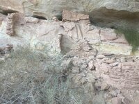 IMG_3778.jpeg