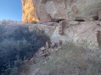 IMG_3779.jpeg