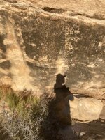 IMG_3780.jpeg