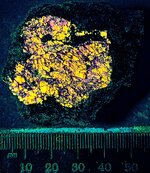 Zircon with Magnetite, crust, Mud Tank Zircon Field, Strangways Range, N. Terr., Australia, LW...jpg