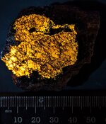 Zircon with Magnetite, crust, Mud Tank Zircon Field, Strangways Range, N. Terr., Australia, MW...jpg