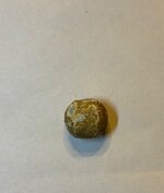 IMG_7899.jpeg
