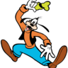 SueVA