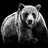 Bear stalker