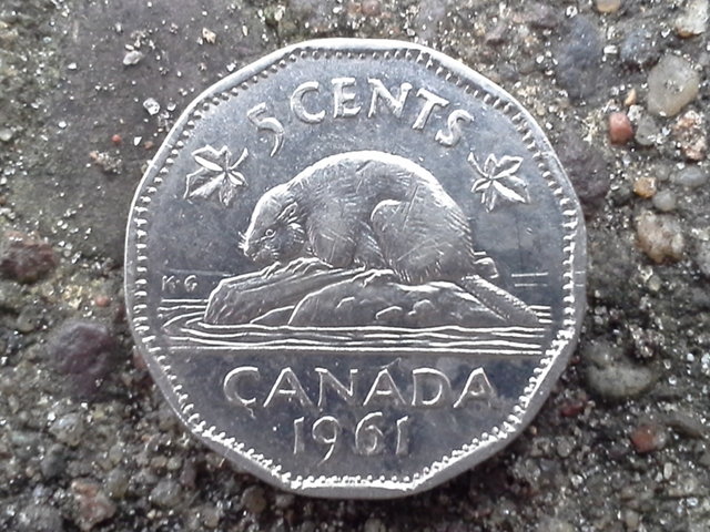 Canadian Nickel Reverse (Resized).jpg